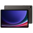Samsung Galaxy Tab S9 5G 12/256GB (SM-X716BZAEEUE) Grafit