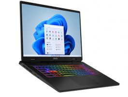 MSI Sword 17 HX B14VGKG-018 (9S7-17T214-018) Cosmos Gray - US KEY