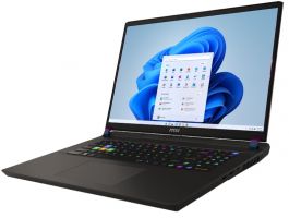 MSI Vector 17 HX A13VHG (9S7-17S162-808) Cosmos Gray - us key