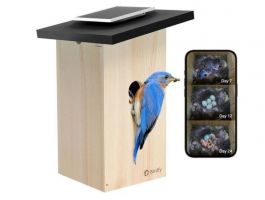 Birdfy Madáretető kamerával, ébenfa, AI nélkül (EPPAMBNI8802110)