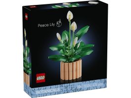 LEGO Botanicals Vitorlavirág, virágdekoráció (11504)