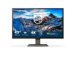 PHILIPS 439P1 42,51" 4K VA monitor (439P1/00)