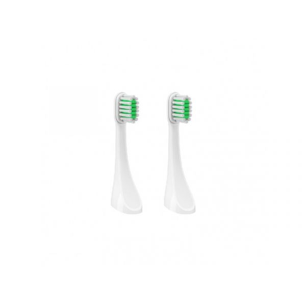 TrueLife |TLSBTT100H| SonicBrush Travel T100 Heads Standard fogkefefej (2db)