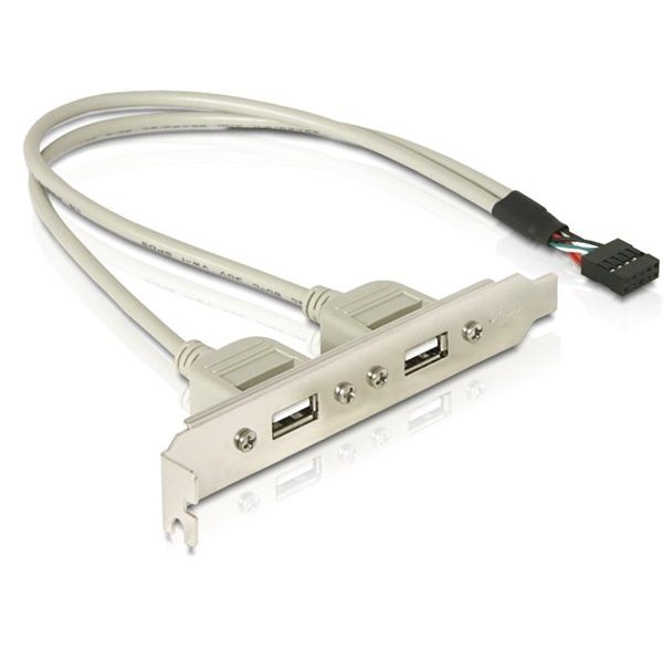 DELOCK Hátlapi kivezetés USB 9 pin to 2x USB 2.0 (71000)