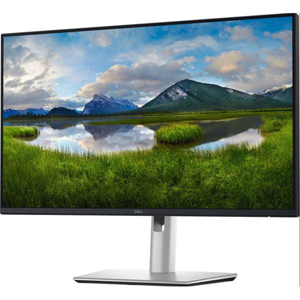 DELL Pro 24 Plus P2425DE 23,8" WQHD IPS monitor (210-BRDM)
