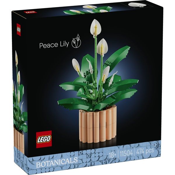 LEGO Botanicals Vitorlavirág, virágdekoráció (11504)