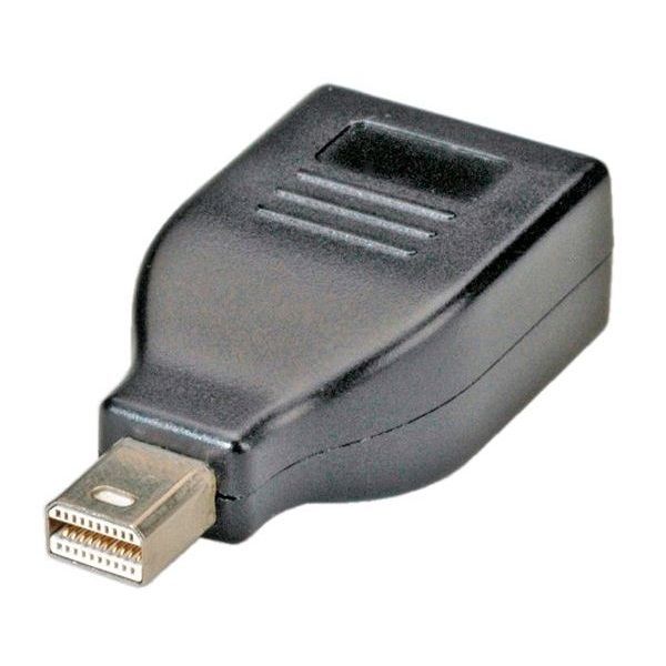 ROLINE Adapter DisplayPort - mini DisplayPort F/M (12.03.3130)