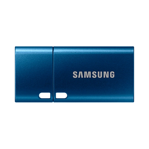 SAMSUNG USB Type-C 256GB Pendrive (MUF-256DA/APC)