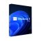 Windows 11 Pro 64Bit Hungarian 1pk DSP OEI DVD (FQC-10537)