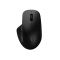 RAPOO M50 Plus Wireless Silent egér (00220693) fekete